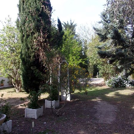 Mas Des Pins Bed & Breakfast Saint-Cyprien  Bagian luar foto