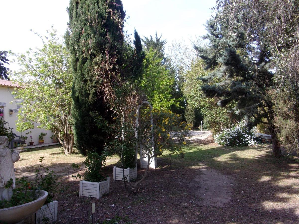 Mas Des Pins Bed & Breakfast Saint-Cyprien  Bagian luar foto