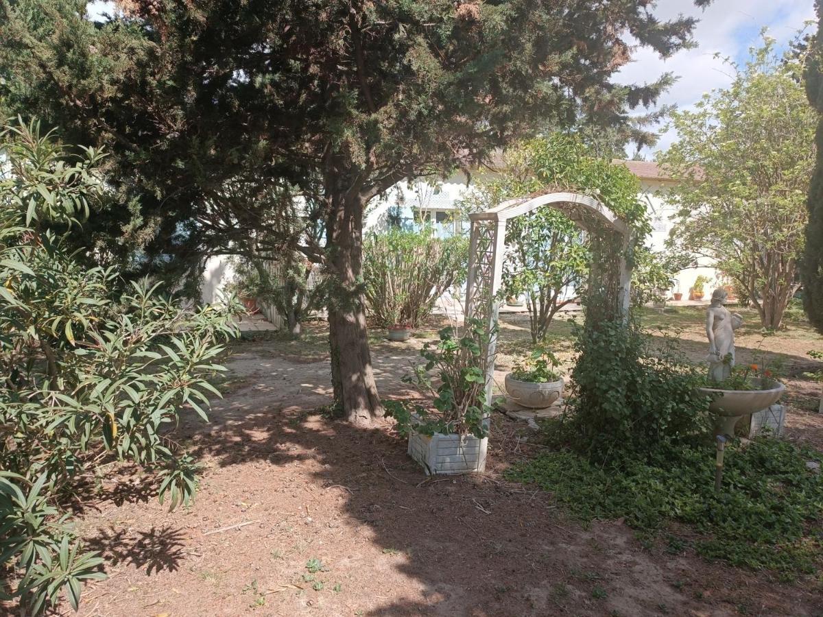 Mas Des Pins Bed & Breakfast Saint-Cyprien  Bagian luar foto