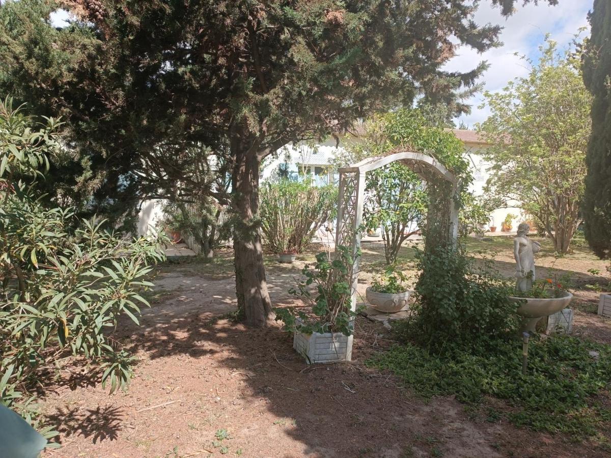 Mas Des Pins Bed & Breakfast Saint-Cyprien  Bagian luar foto